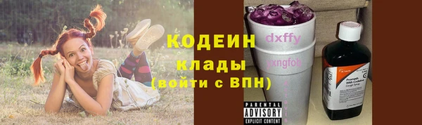 прущий лед Гусев