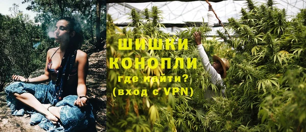 тгк Кукмор