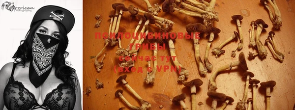 стафф Нестеровская