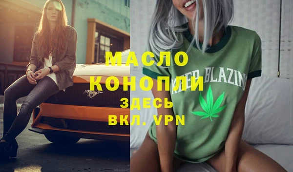 тгк Гусь-Хрустальный