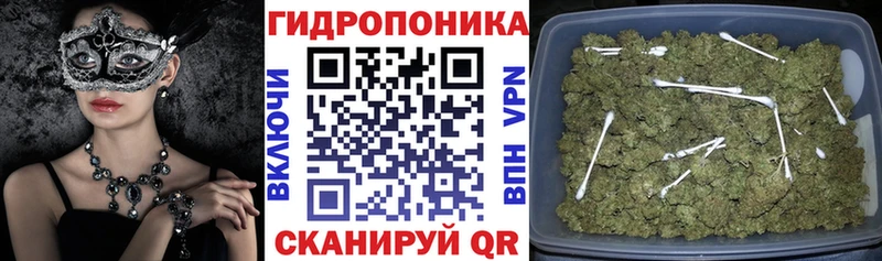 Бошки Шишки SATIVA & INDICA  ссылка на мегу ТОР  Пустошка 